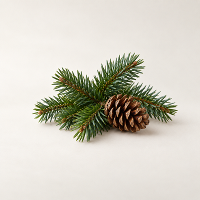 PINE