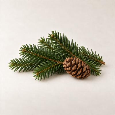 FIR