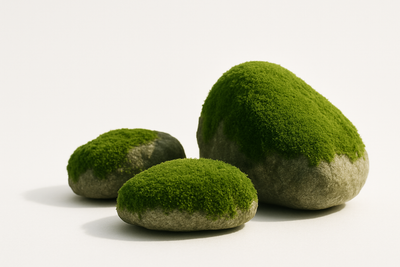 Stone Moss